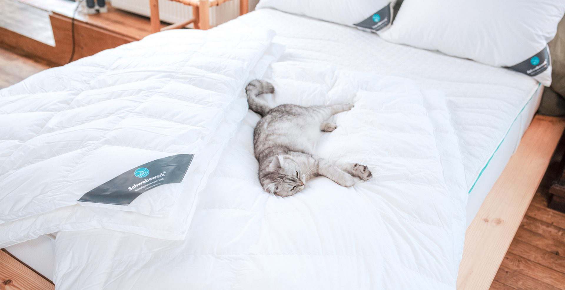 Katze schläft erholsam auf Schwebewerk Matratze im Bett